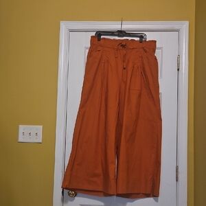 Torrid Bold Orange Chinos